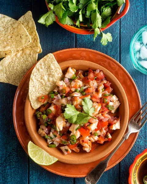 Mexican Lobster Ceviche — Stock Photo, Image