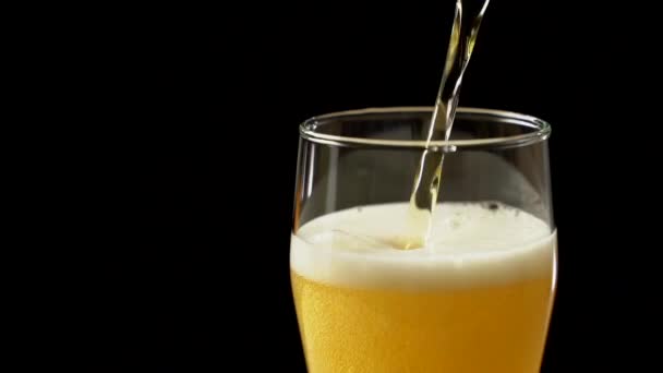 Close-up of a glass with beer pouring isolated — Stock Video