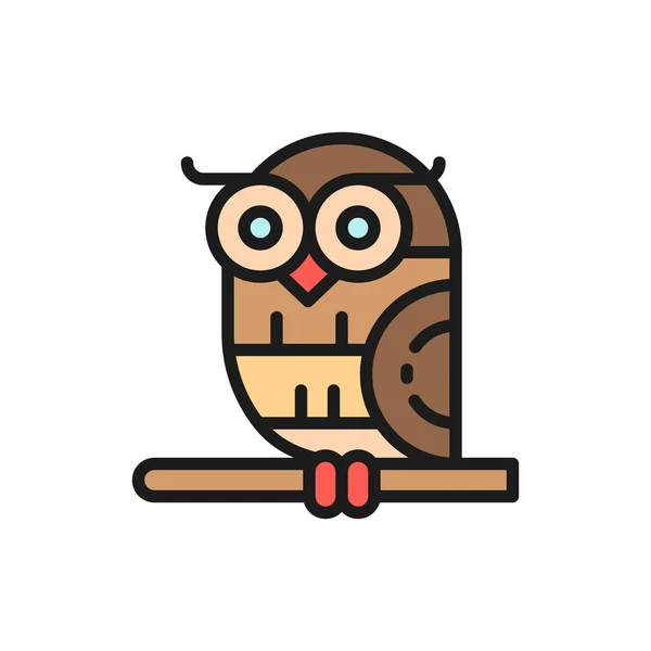 Pájaro, búho icono de color plano. Aislado sobre fondo blanco — Vector de stock