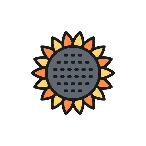 Vektor solros, blomma platt färg linje ikon. Isolerad på vit bakgrund — Stock vektor