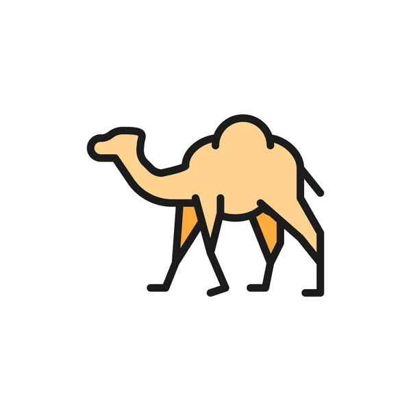 벡터 낙타, 캐러 밴, 사막 동물의 평평 한 색깔의 아이콘. — 스톡 벡터
