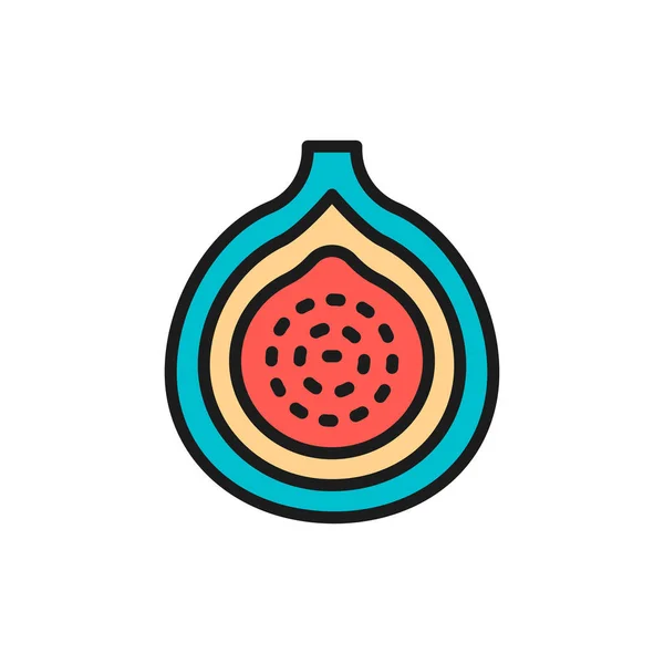 Vector vijg, guava, exotisch fruit platte kleur lijn pictogram. — Stockvector