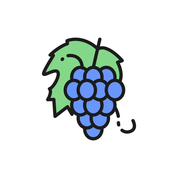 Vector bos van druiven, fruit platte kleur lijn pictogram. — Stockvector