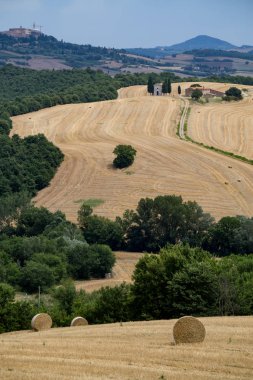 Val d'Orcia içinde inişli çıkışlı tepeler ve vadiler ile Toscana manzara