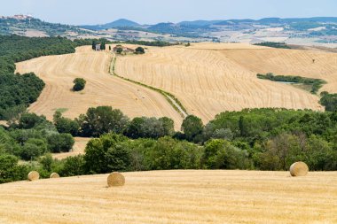 Val d'Orcia içinde inişli çıkışlı tepeler ve vadiler ile Toscana manzara