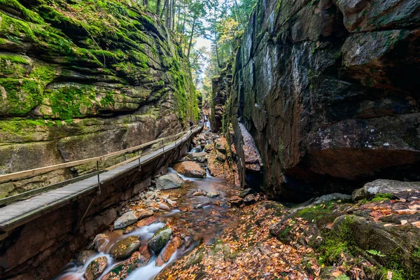 Franconia Kerb State Park, New Hampshire, Vereinigte Staaten lizenzfreie Stockfotos