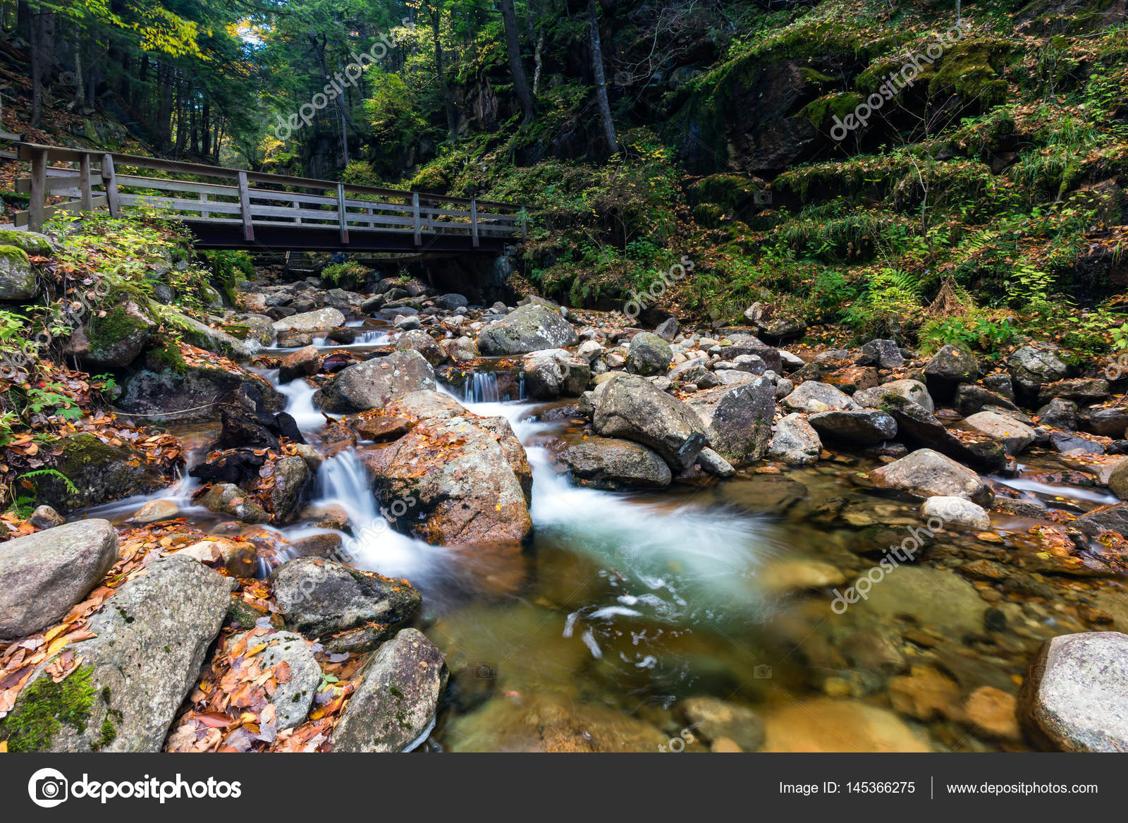 Franconia Notch State Park New Hampshire Usa Stock Photo By C Catuncia 01 145366275