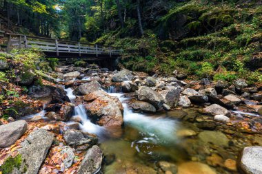 Franconia notch state park, new hampshire, ABD
