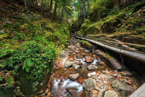 Franconia Kerb State Park, New Hampshire, Vereinigte Staaten — Stockfoto