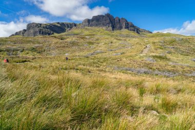 Yaşlı adam Storr Isle of Skye