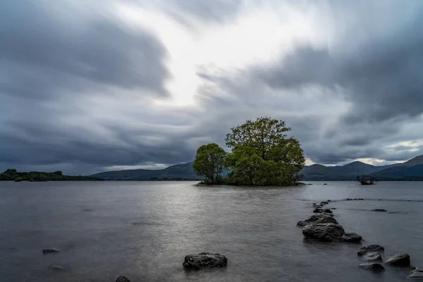 Lonley Loch Arbre Lomond Écossais — Photo