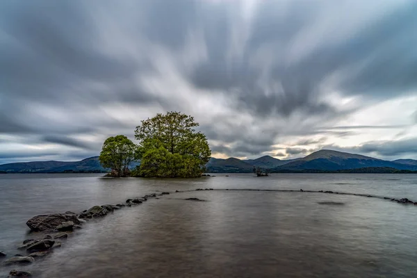 Samotny Drzewo Loch Lomond Szkocji — Zdjęcie stockowe