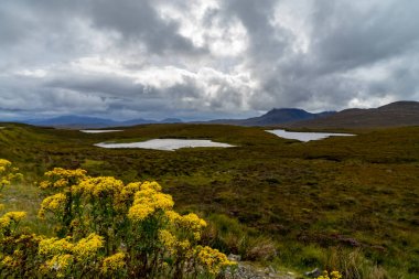 İskoçya'daki knockan kaya