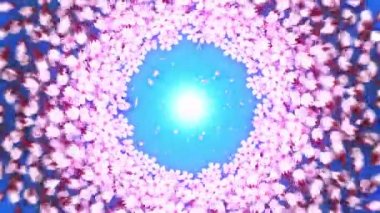 Japon Sakura çiçekleri. Çiçek açmış kiraz çiçekleri. Güzel sakura ağacı manzarası. Kiraz çiçeği açıyor..