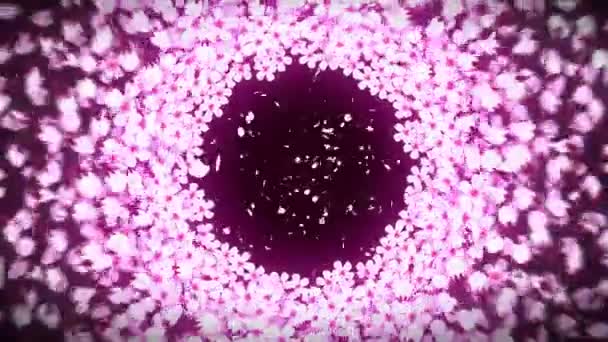 Fiori Sakura Giapponesi Fiori Ciliegio Piena Fioritura Bellissimo Paesaggio Alberi — Video Stock