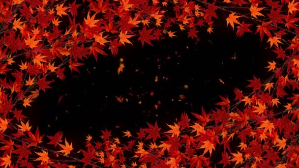 Branch Red Leaves Falling Traditional Autumn Leaf Scenery Beautiful Japanese Video By C Ykart Stock Footage