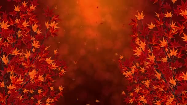 Branche Avec Feuilles Rouges Chute Paysage Traditionnel Feuilles Automne Beau — Video