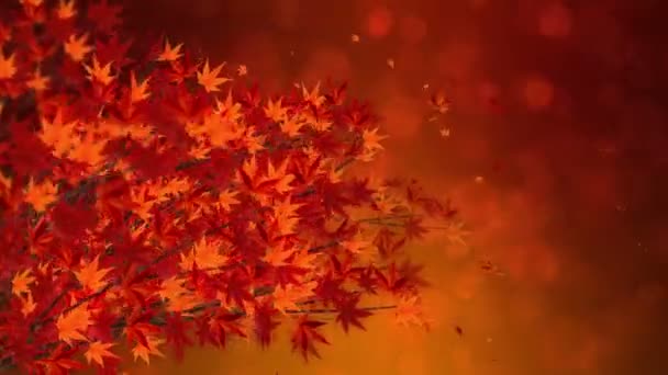 Rama Con Hojas Rojas Caída Paisaje Tradicional Hojas Otoño Hermoso — Vídeo de stock