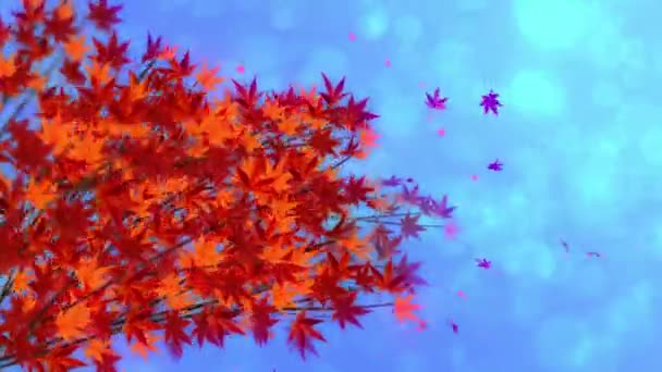 秋に赤い葉を持つ枝 美しい日本の優雅さスタイルの伝統的な秋の葉の風景 ループアニメーション — ストック動画