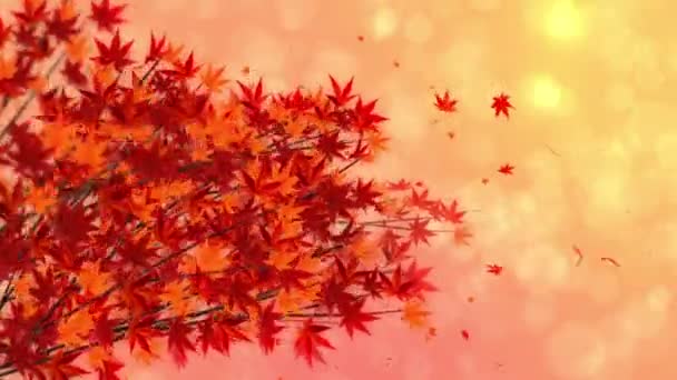 Zweig Mit Roten Blättern Fallen Traditionelle Herbstblattkulisse Von Wunderschöner Japanischer — Stockvideo