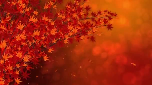 Větvička Padajícími Červenými Listy Tradiční Podzimní Listová Scenérie Krásného Japonského — Stock video