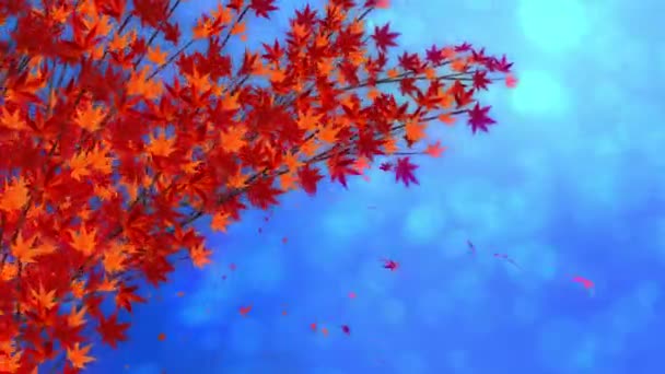 Rama Con Hojas Rojas Caída Paisaje Tradicional Hojas Otoño Hermoso — Vídeo de stock