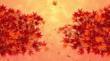 Düşerken kırmızı yapraklı dal. Geleneksel sonbahar yaprakları güzel Japon zarafeti manzarası. Döngü canlandırması.