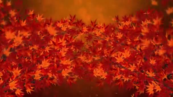 Ветка Красными Листьями Падении Традиционный Осенний Листовой Пейзаж Красивого Японского — стоковое видео