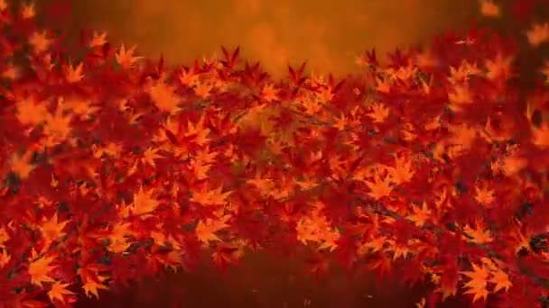 Branche Avec Feuilles Rouges Chute Paysage Traditionnel Feuilles Automne Beau — Video