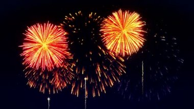 Gökyüzünü renkli havai fişekler aydınlatıyor. Havai fişek festivali manzarası. Cg döngü canlandırması.