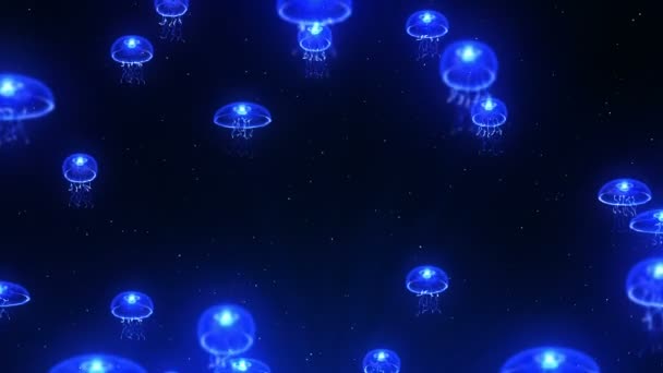 Медузы Освещаются Цветным Светом Водой Флуоресцентный Цвет Светом Анимация — стоковое видео