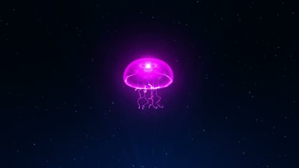 Medusas Iluminadas Com Luz Colorida Subaquático Cor Fluorescente Sob Luzes — Vídeo de Stock