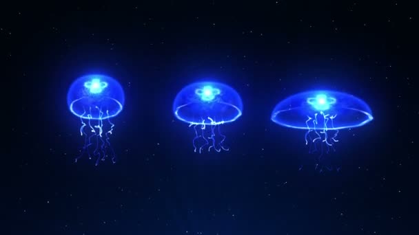 Medusas Iluminadas Con Luz Color Agua Color Fluorescente Bajo Las — Vídeo de stock
