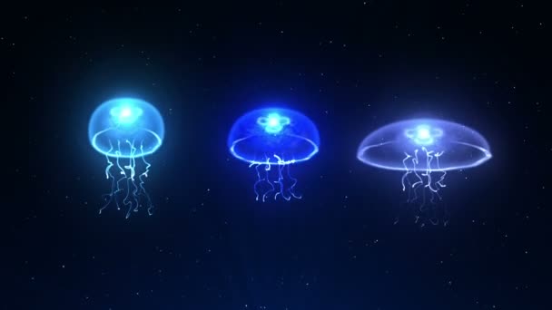 Medusas Iluminadas Con Luz Color Agua Color Fluorescente Bajo Las — Vídeos de Stock