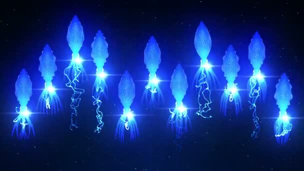 水中の色の光で照らされたイカ 蛍光色のイカは水に浮かぶ Cgループアニメーション — ストック動画