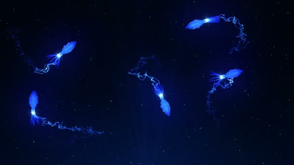 Squid Illuminated Color Light Underwater Fluorescent Color Squid Floats Water — Stock Video