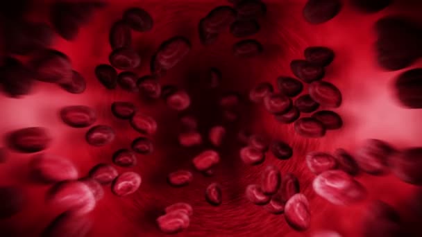 Sistema Circulatorio Humano Animación Bucle Vasos Sanguíneos Humanos Con Glóbulos — Vídeos de Stock