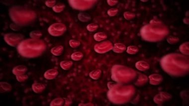 Kan içinde yüzen ve damarlarda dolaşan kırmızı kan hücreleri. Tıbbi konsept. 3 boyutlu damar ve atardamar. Sağlık hizmetleri. Döngü canlandırması.