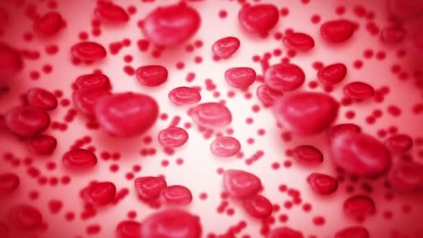 Glóbulos Rojos Flotando Través Sangre Circulando Los Vasos Sanguíneos Concepto — Vídeos de Stock