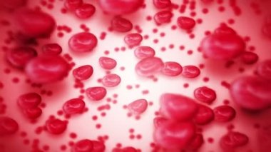 Kan içinde yüzen ve damarlarda dolaşan kırmızı kan hücreleri. Tıbbi konsept. 3 boyutlu damar ve atardamar. Sağlık hizmetleri. Döngü canlandırması.