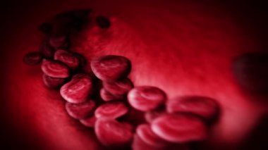 İnsan dolaşım sistemi. Kırmızı kan hücreli insan damarının 3 boyutlu döngüsü. Sağlık hizmetleri sembolü.