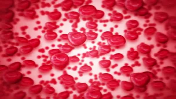 Rode Bloedcellen Zweven Door Het Bloed Circuleren Vaten Medisch Concept — Stockvideo