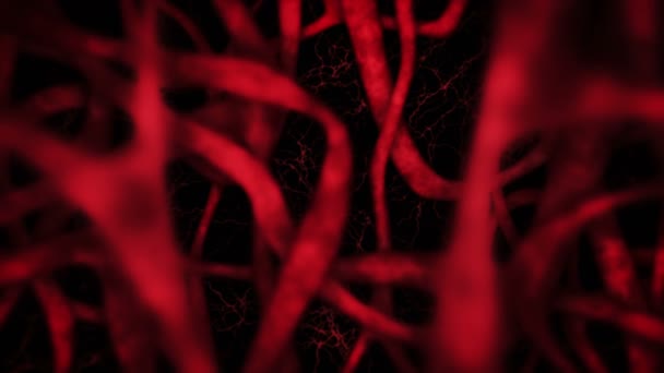 Человеческая Сердечно Сосудистая Система Красными Кровеносными Сосудами Сердце Бьется Анимация — стоковое видео