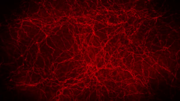 Loop Animation Human Blood Vessel Red Capillaries Eye Blood Black — 비디오