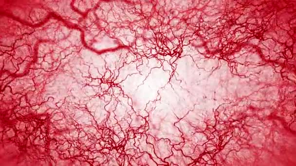 Loop Animation Human Blood Vessel Red Capillaries Eye Blood White — 비디오