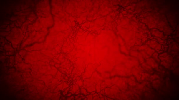 Schleifenanimation Menschlicher Blutgefäße Kapillaren Augenblut Auf Rotem Hintergrund Anatomischer Hintergrund — Stockvideo