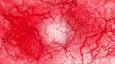 İnsan kan damarının 3 boyutlu döngü animasyonu. Kırmızı kılcal damarlar. Beyaz arka planda göz kanı. Anatomik arka plan. Tıbbi konsept.