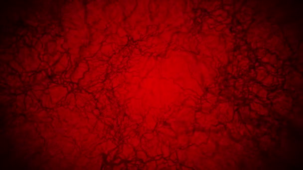 Schleifenanimation Menschlicher Blutgefäße Kapillaren Augenblut Auf Rotem Hintergrund Anatomischer Hintergrund — Stockvideo