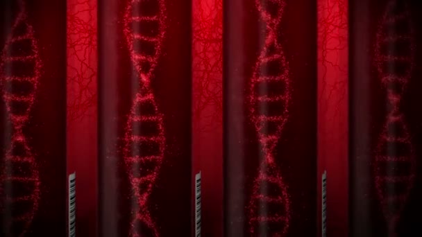 試験管内の赤血球を持つDna系の分子 血液検査装置だ ループアニメーション 医学的概念 3Dレンダリング静脈と動脈 — ストック動画