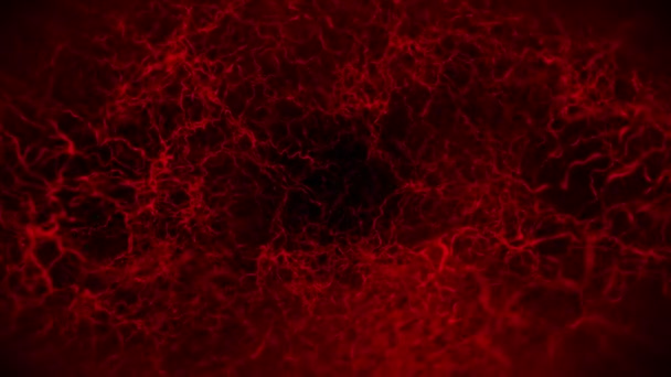 Animacja Pętli Ludzkiego Naczynia Krwionośnego Czerwona Kapilara Krew Oczu Czarnym — Wideo stockowe